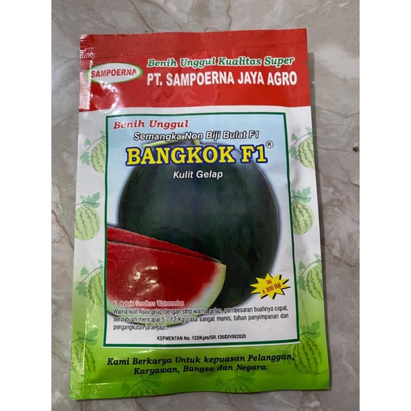 (Bangkok F1, 20 gram) 350 biji Bibit semangka non biji bulat SAMPOERNA JAYA