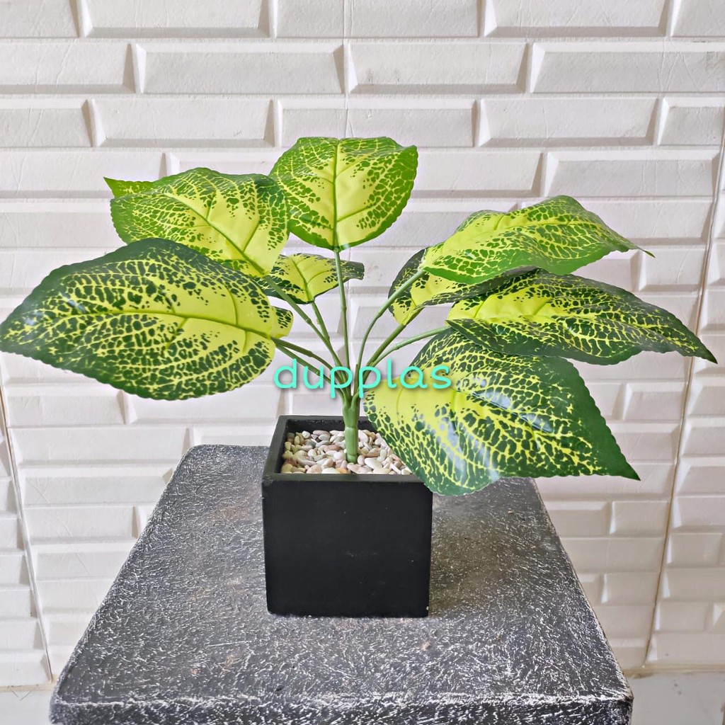 Pohon Daun Puring X9 Hijau Plastik Mini Pot Kayu Tanaman Artificial Dekorasi Hias Rumah High Quality