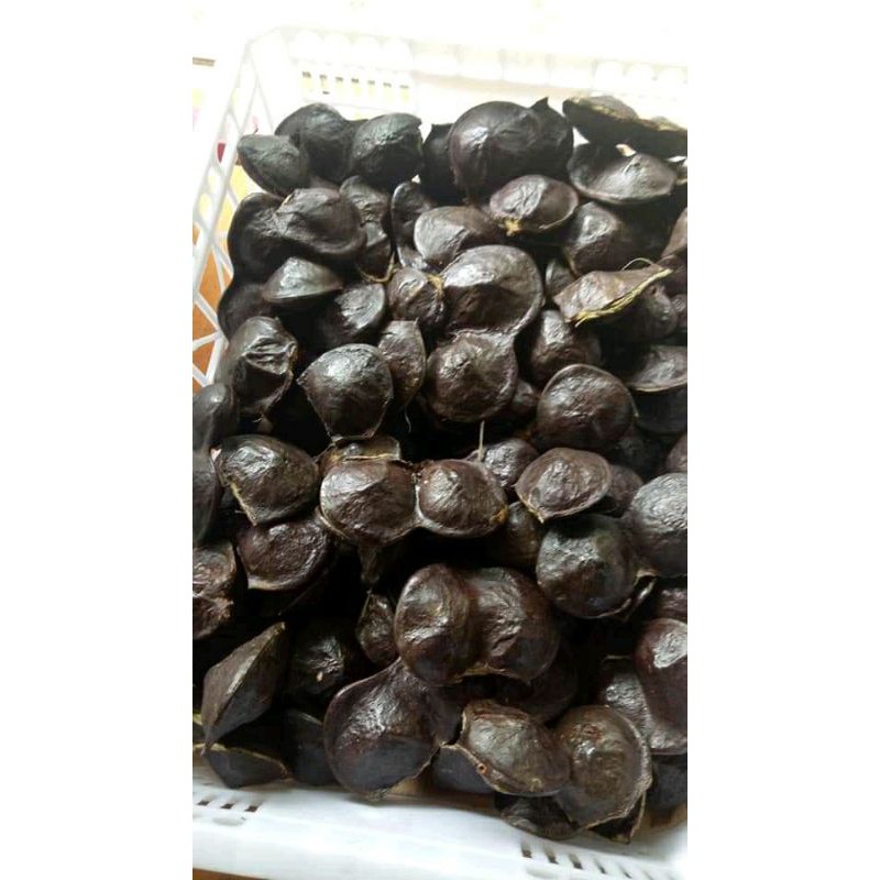 

Lalapan Jengkol mud