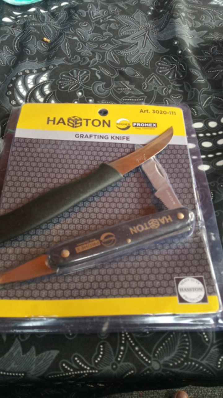 Pisau Lipat Knife Grafting Cangkok Okulasi Bonsai Stek Dll