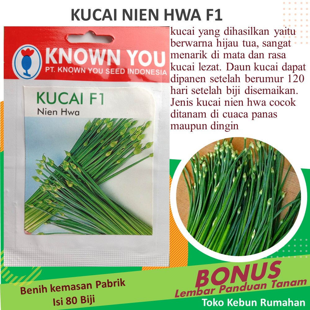 Bibit Tanaman Benih Sayuran Kucai Nien Hwa F1 Known You Isi 80 Biji