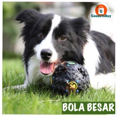 MAINAN BOLA ANJING BOLA SUARA GUGUK ANJING AKSESORIS ANJING HEWAN AKSESORIS HEWAN