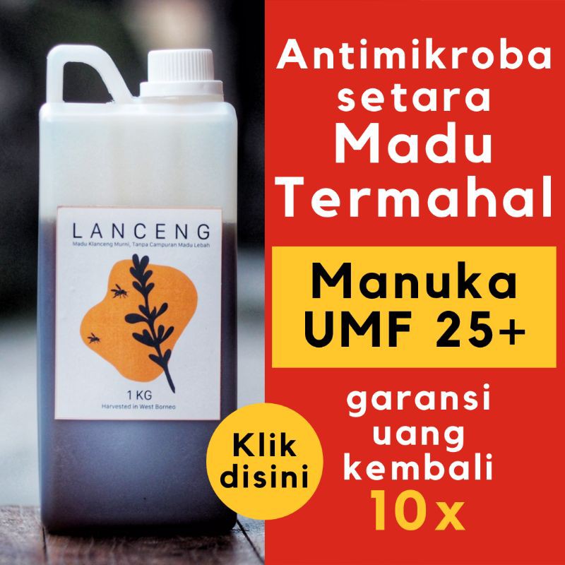 

Madu Klanceng Trigona Kalimantan