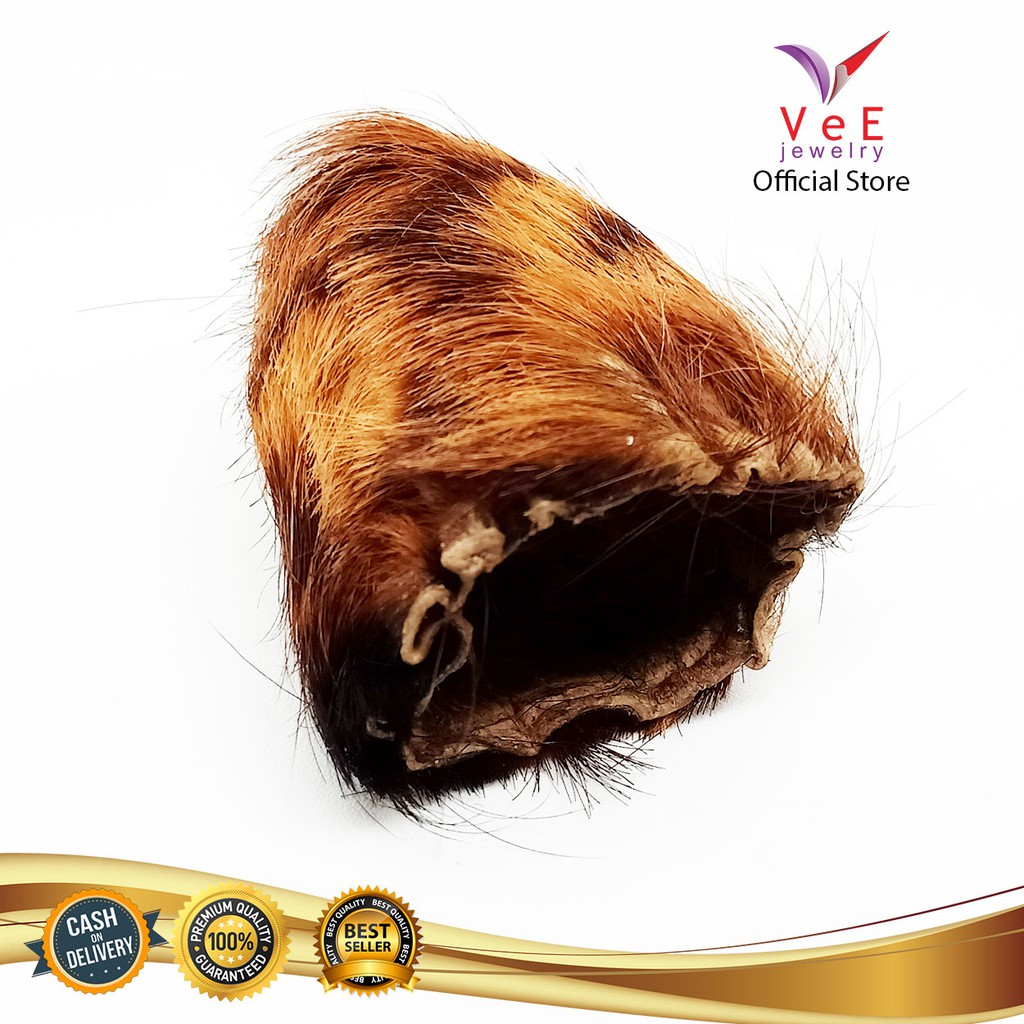 Kantong Kulit Kambing Loreng Bertuah - VeE Kantung Kemih Kulit Barang Antik