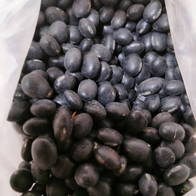 

Kacang kedele hitam