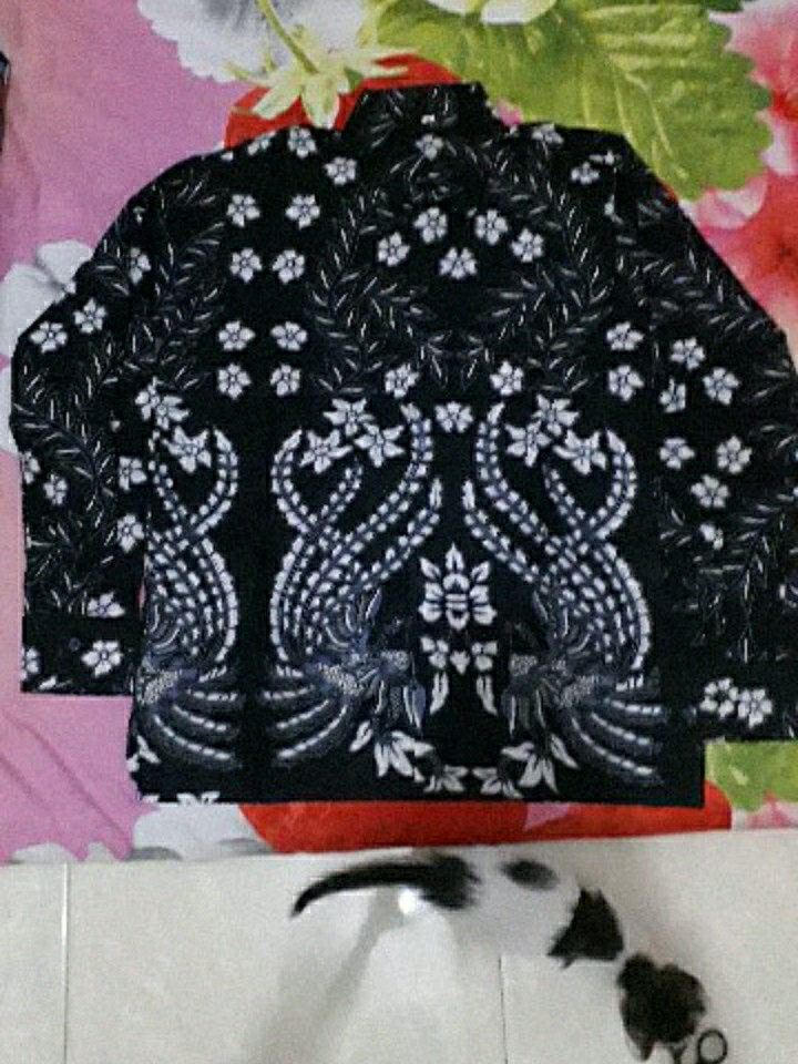 Baju Batik Pria Slimfit & Lapis Furing Halus Regulerfit Lengan Panjang Bl4 Wong [limited Edition]