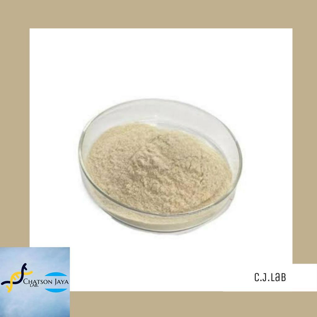 Enzim Diastase 30 Gram/ Amylase Enzyme Powder/ Diastase