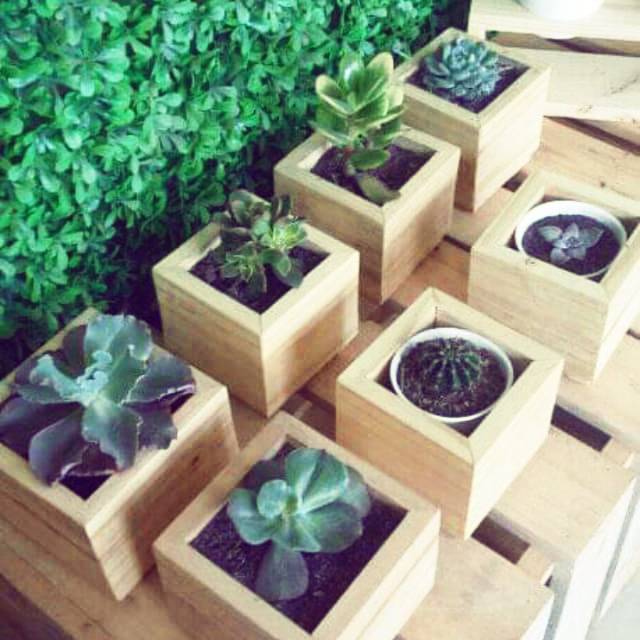 Pot kayu kotak