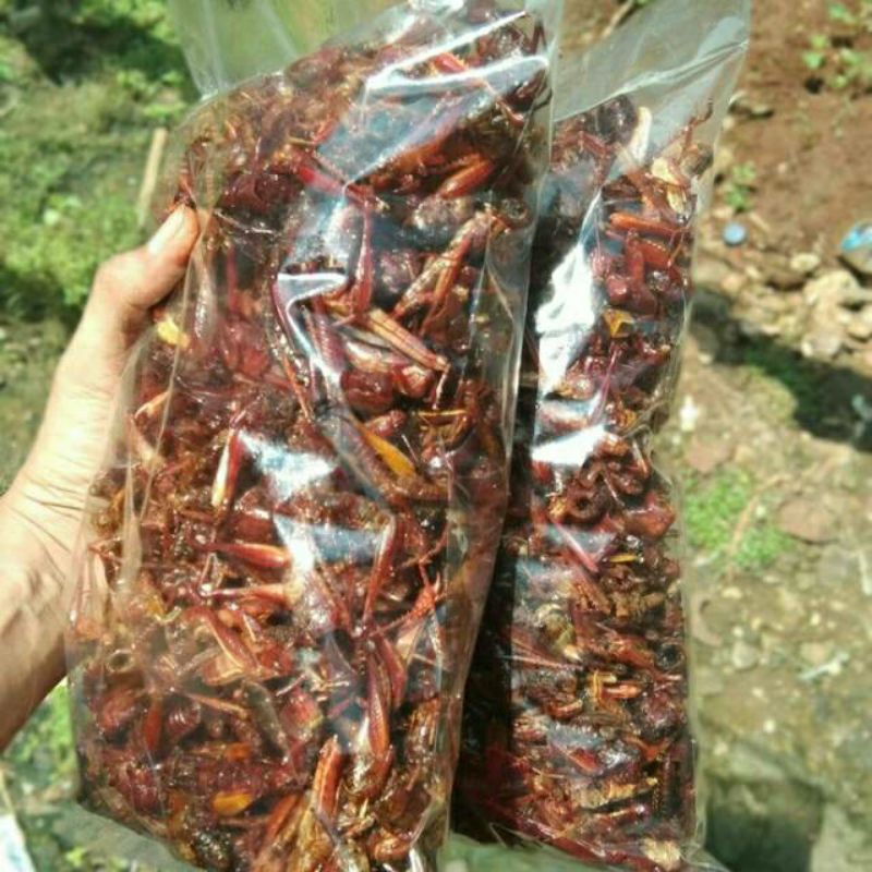 

walang goreng / belalang goreng handayani 1000gr / kiloan