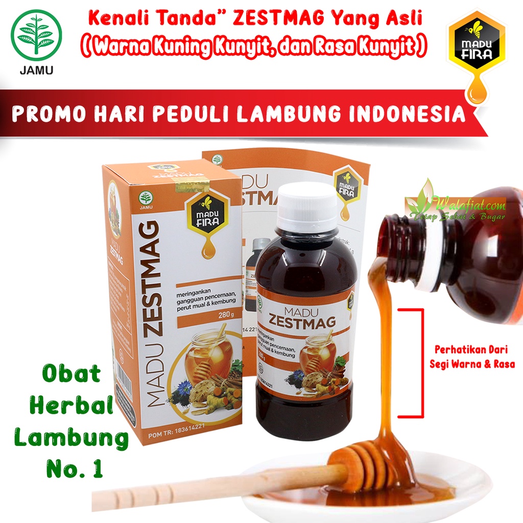 Jual Zestmag Original Madu Maag Obat Fira Herbal Radang Asam Lambung