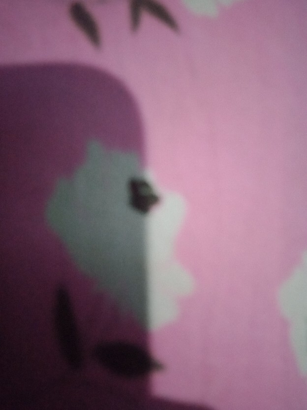 Baju Batik Pria Abadi Batik Kemeja Batik Pria Lengan Pendek