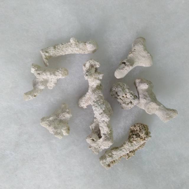 Batu karang jahe aquarium/kolam