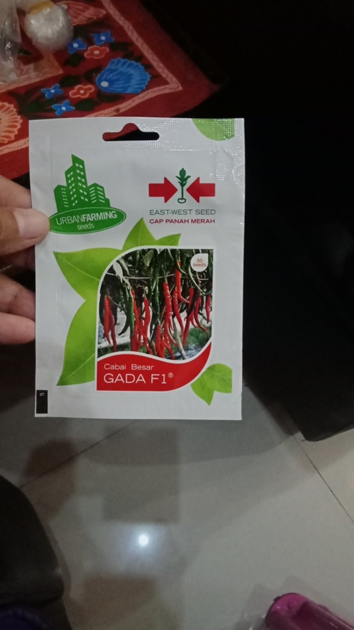 Benih Cabe Besar Gada F1 (kemasan Personal Pouch Cap Panah Merah)