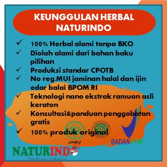 Obat Asam Lambung Obat Lambung Obat Herbal Asam Lambung Obat Lambung Paling Ampuh Obat Maag Asam Lambung Obat Lambung Kronis Obat Asam Lambung Herbal Ampuh Obat Asam Lambung Kronis Obat Lambung Herbal Herbal Asam Lambung Kesehatan Lambung Ampuh Kronis-4