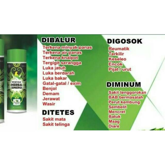 Jual Minyak Burung Bubut Minyak Herba Sinergi Obat Luka Bakar Borok Obat Asma Diare Sakit Kepala Indonesia Shopee Indonesia