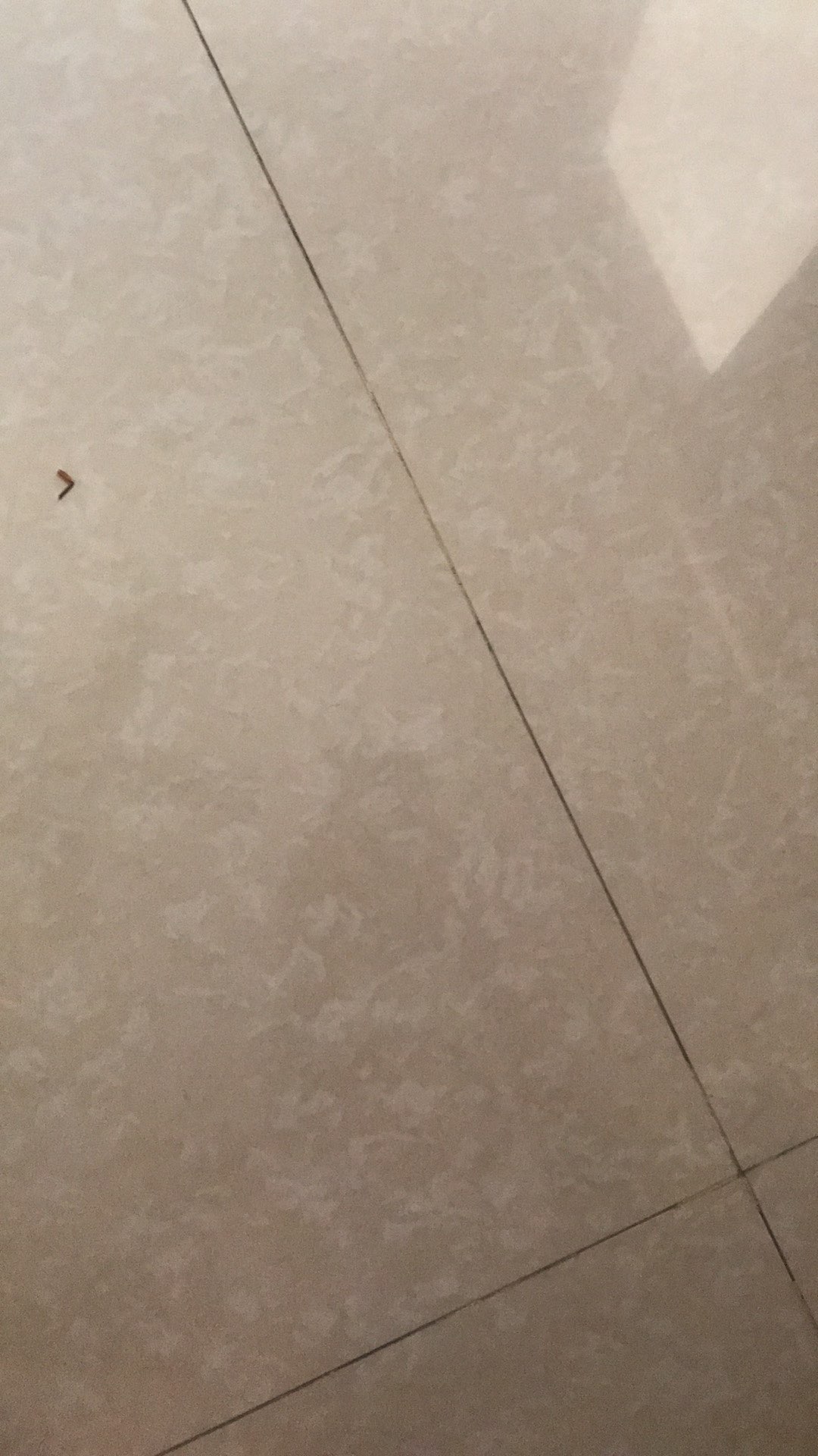 Polybag Putih 25 X 25