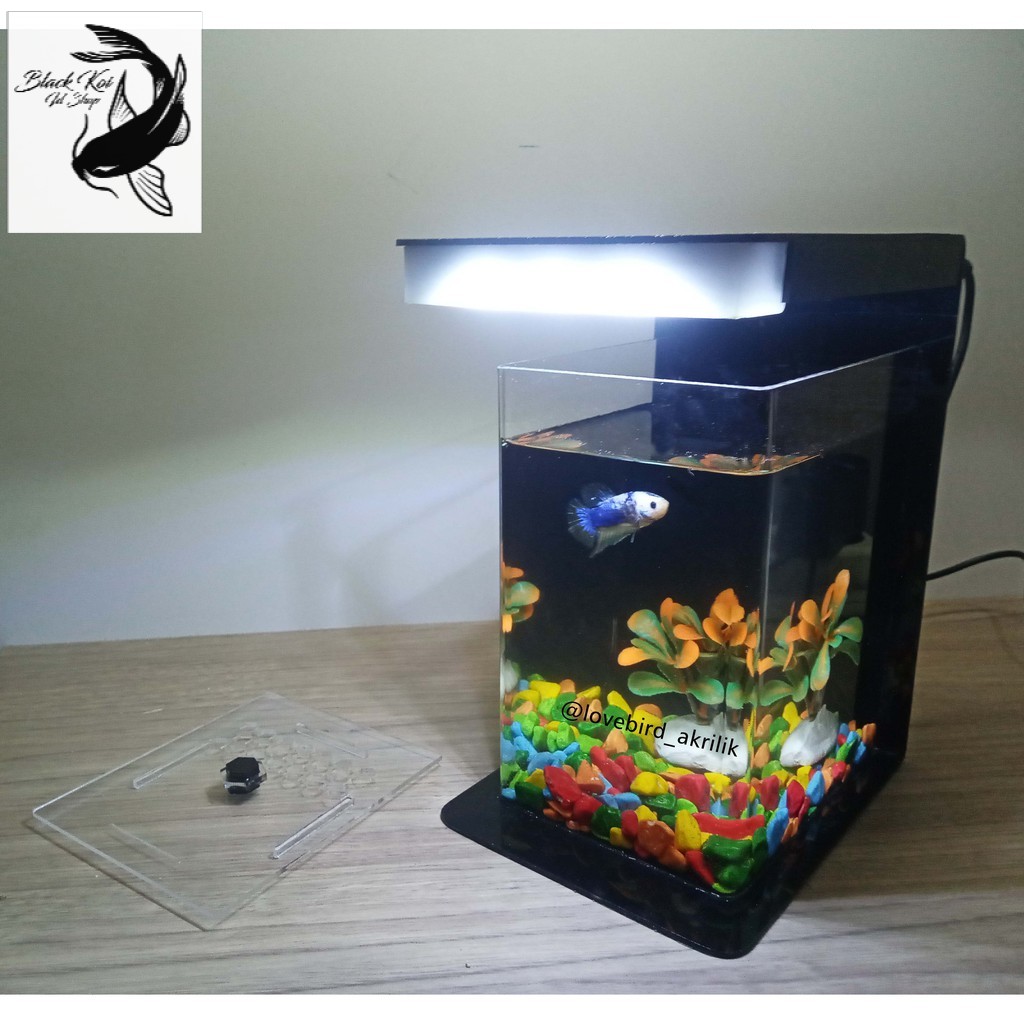 READY  Akuarium Cupang, Aquarium Mini Akrilik, Mini Aquascape, Aquascape Acrylic, Mini