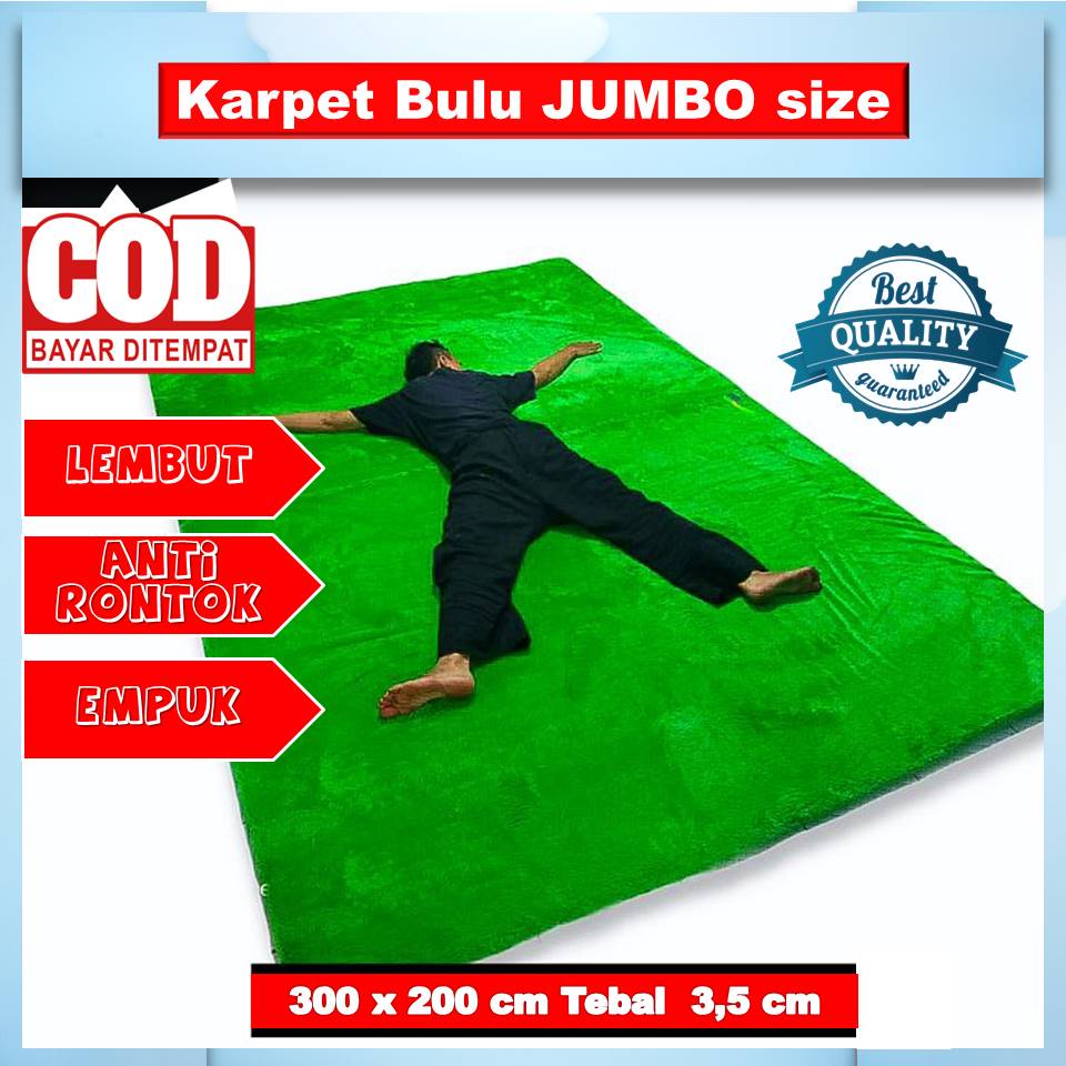 KARPET BULU RASFUR UK 300x200 TEBAL 3.5CM Tebal Bulu Halus Lembut Jumbo Murah