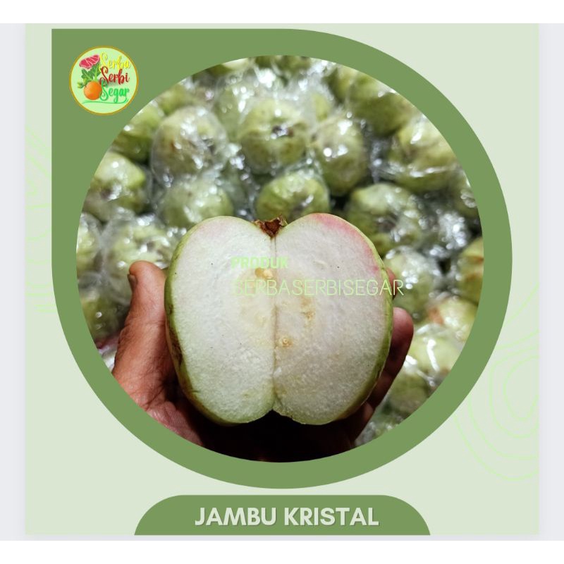 

JAMBU KRISTAL 500 GRAM