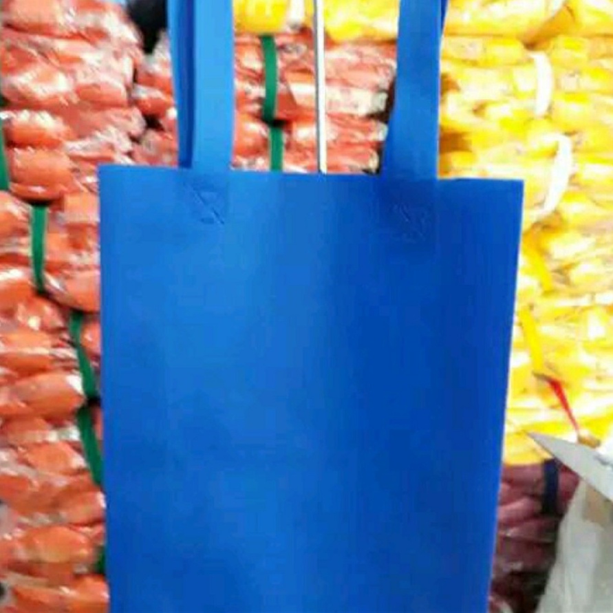 SPUNDBOND GOODIE BAG 30 X 40 X 10 HANDLE TALI TAS KANTONG BELANJA