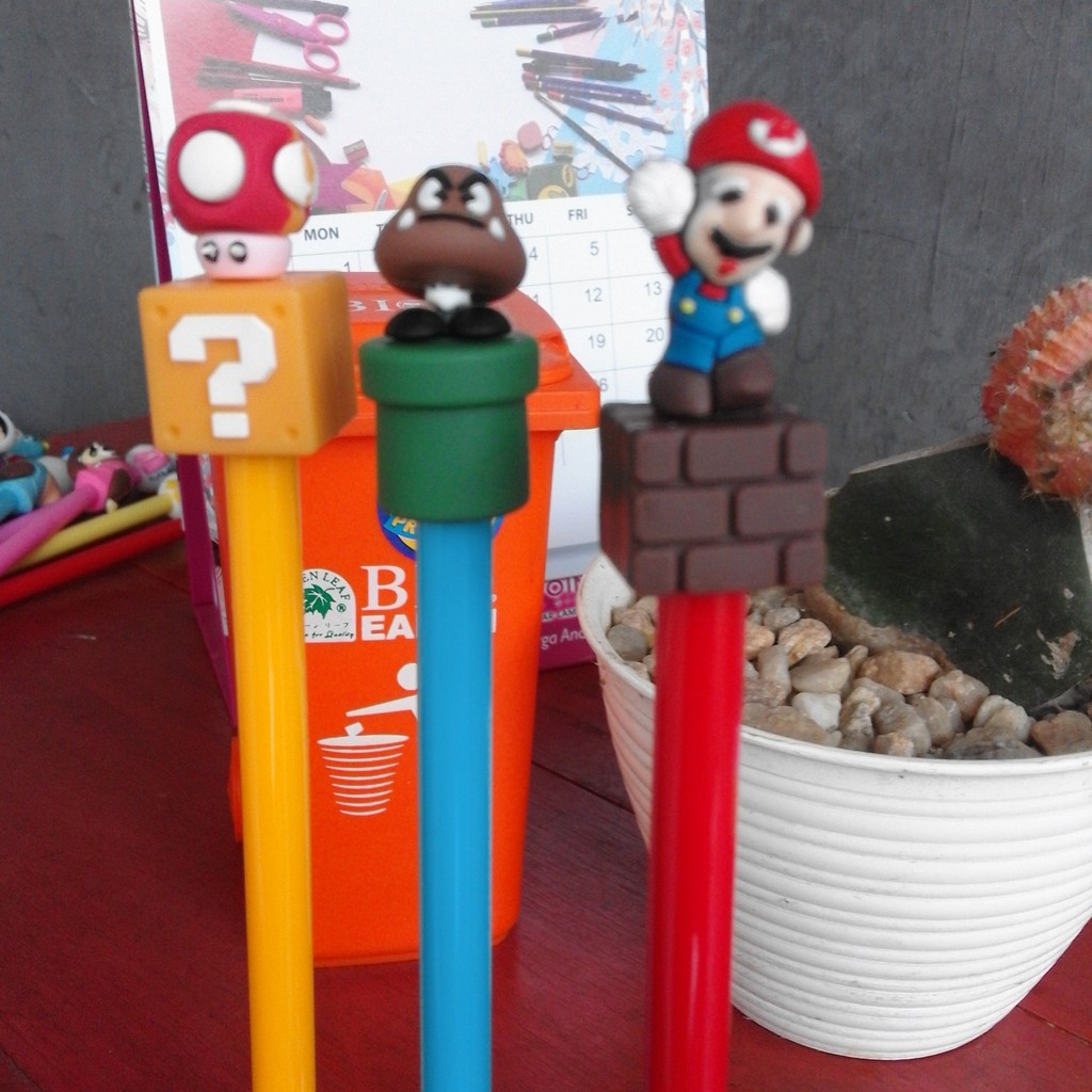 

Pena Mario (PA 0005)