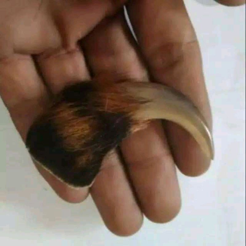

kukumacan
