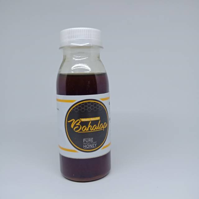 

Madu Kelulut Hutan 125 gram