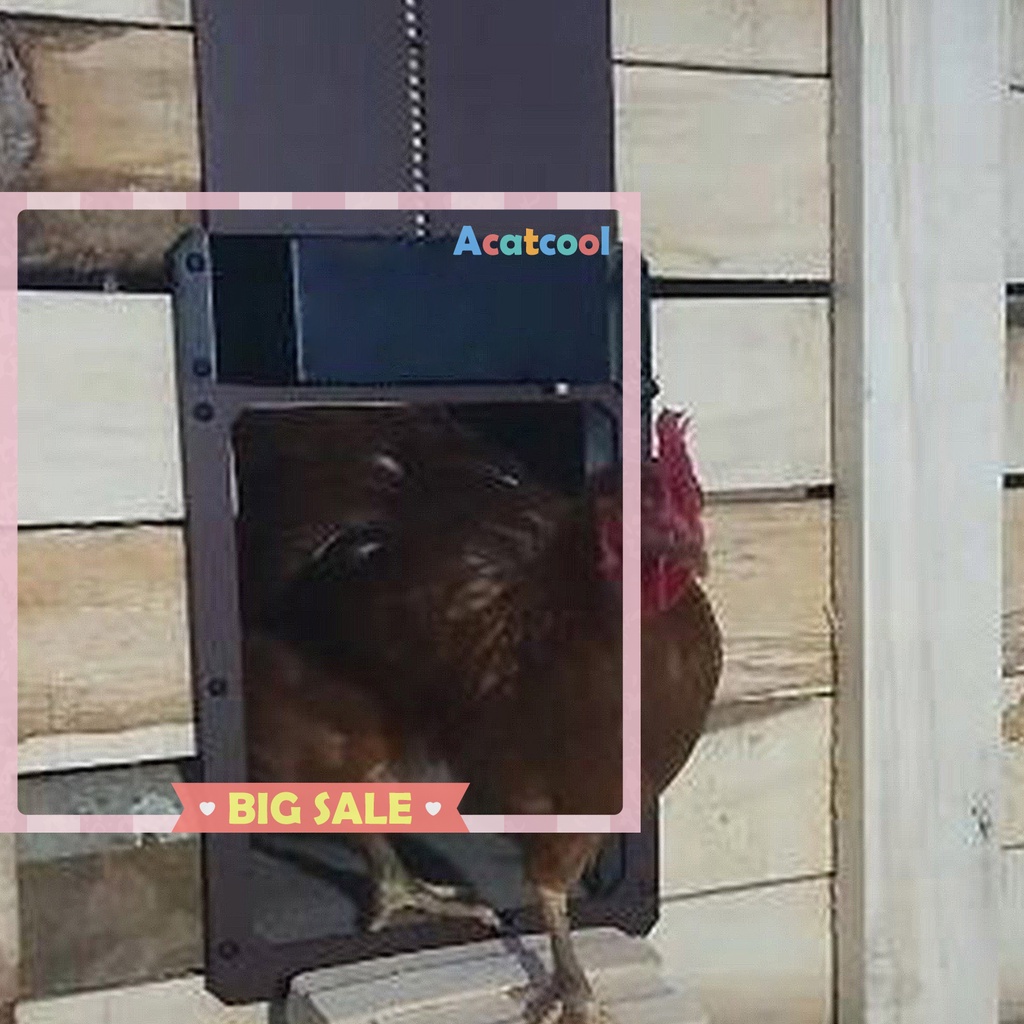 Automatic Chicken Coop Door with Light Sensor Waterproof &amp; Weatherproof