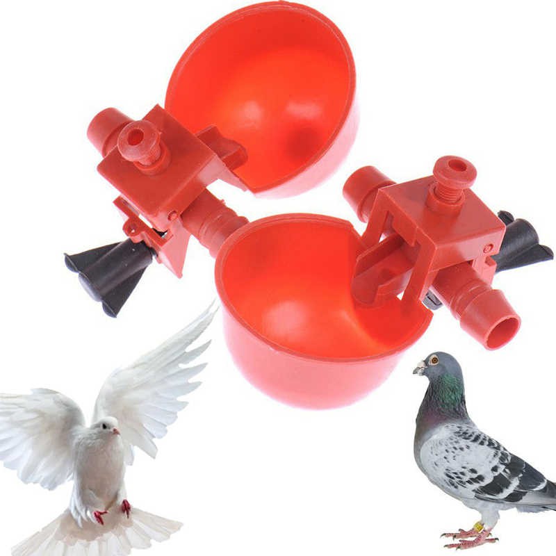 Automatic Small Bird Drinker tempat minum burung otomatis