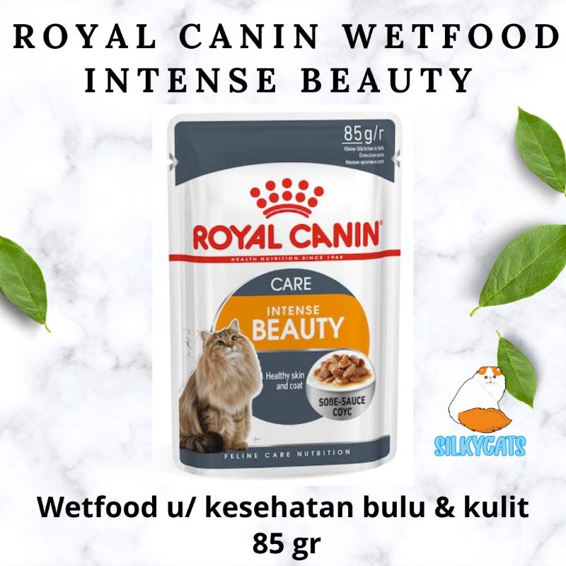 Royal canin wetfood intense beauty 85gr. makanan basah untuk pertumbuhan bulu maksimal
