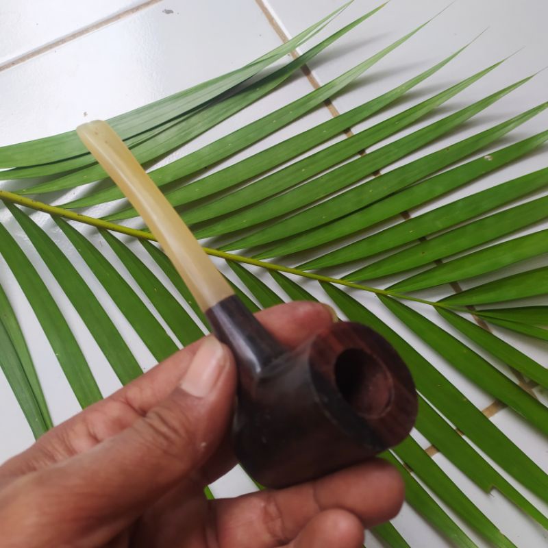 pipa once cangklong tanduk popeye