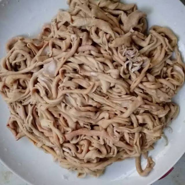 

Usus ayam