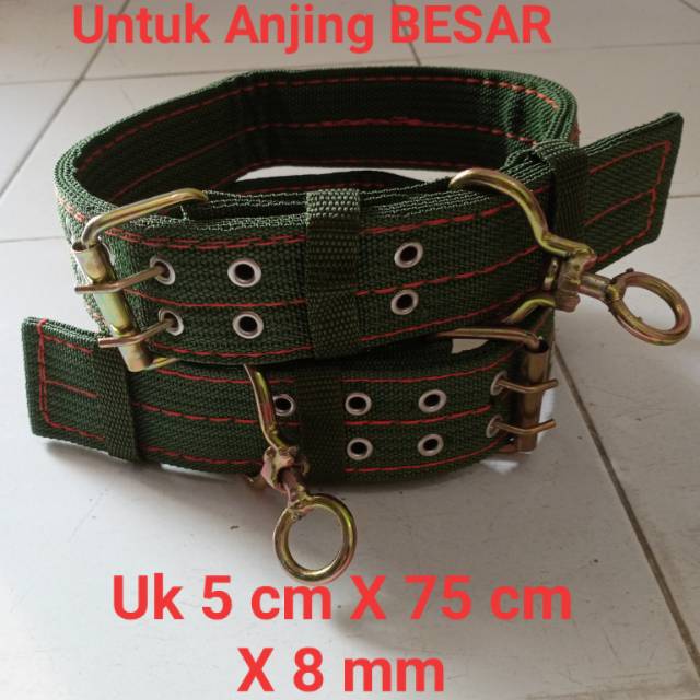 Kalung anjing besar kalung anjing ras besar collar anjing