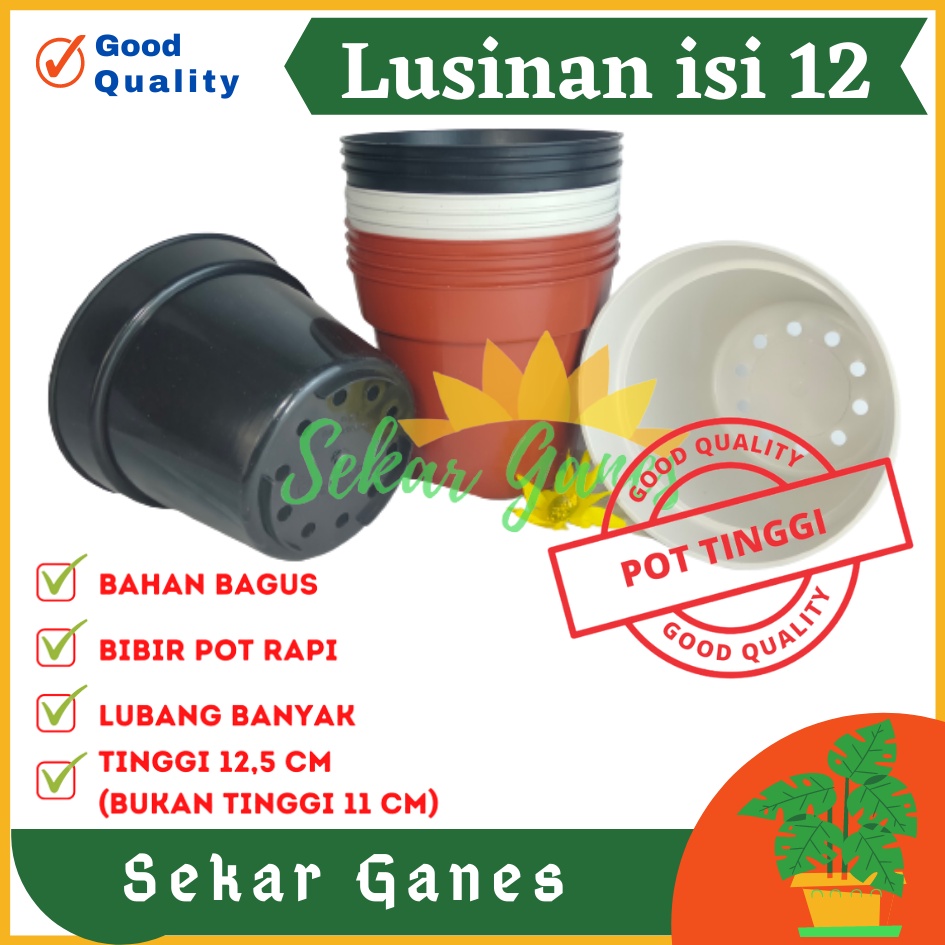 Lusinan 12PCS Pot Tinggi Srondol 15 Putih Hitam Merah BataTerracota Terracotta Merah Coklat - Pot Tinggi Usa Eiffel Effiel 18 20 25 Lusinan Pot Tinggi Tirus 15 18 20 30 35 40 50 Cm Pot Bunga Plastik Lusinan Pot Tanaman Pot Bibit Besar Mini Kecil