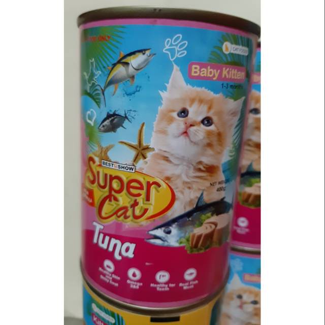 super cat baby kitten