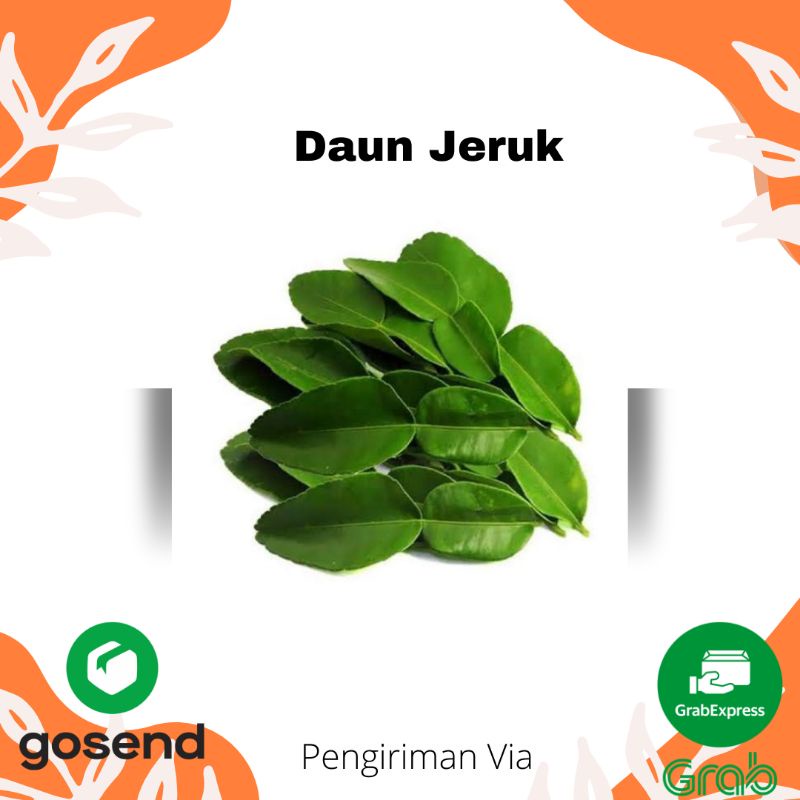 

DAUN JERUK