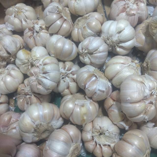 

Bawang putih bulat utuh,berat 1000 gram