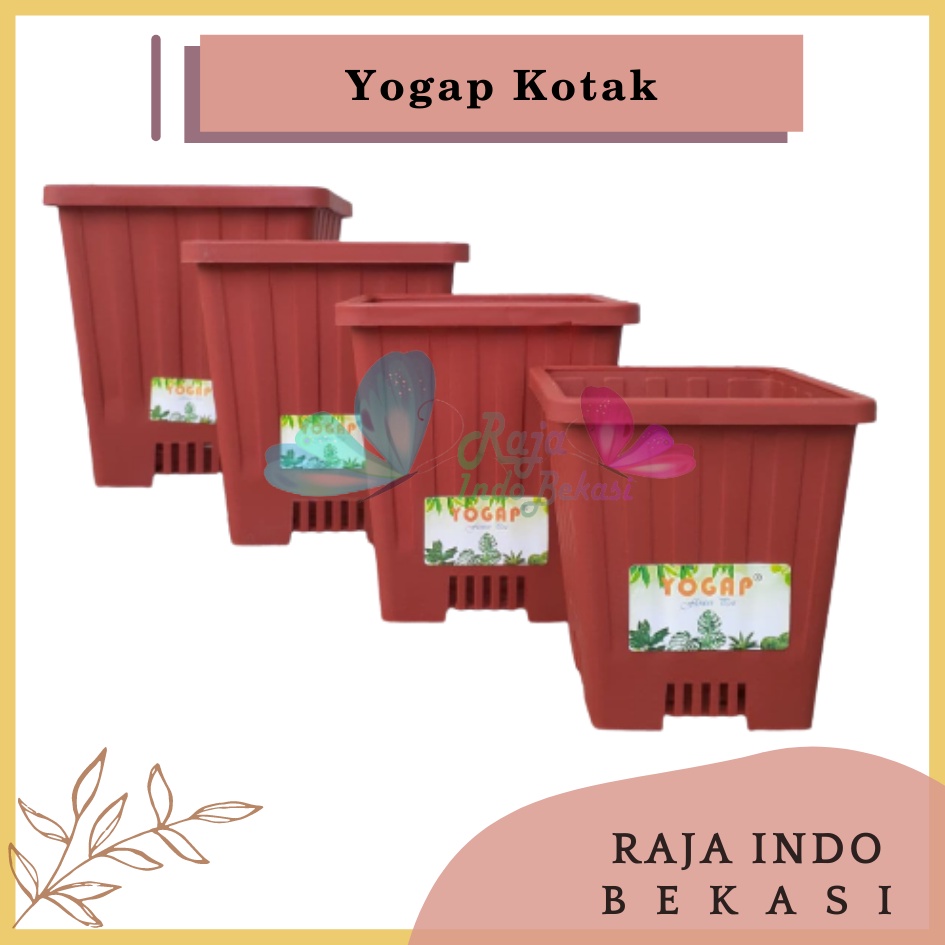 Pot Yogap Kotak 8 10 12 15 Putih Transparan Bening Merah Bata Coklat Terraccota Terakota Orange Pot Segi Empat Hias Pot Yogap 10 13 15 17 18 19 25 30 Pot Yogap Lusinan Pot Kotak Panjang Kecil 8 Cm Tinggi