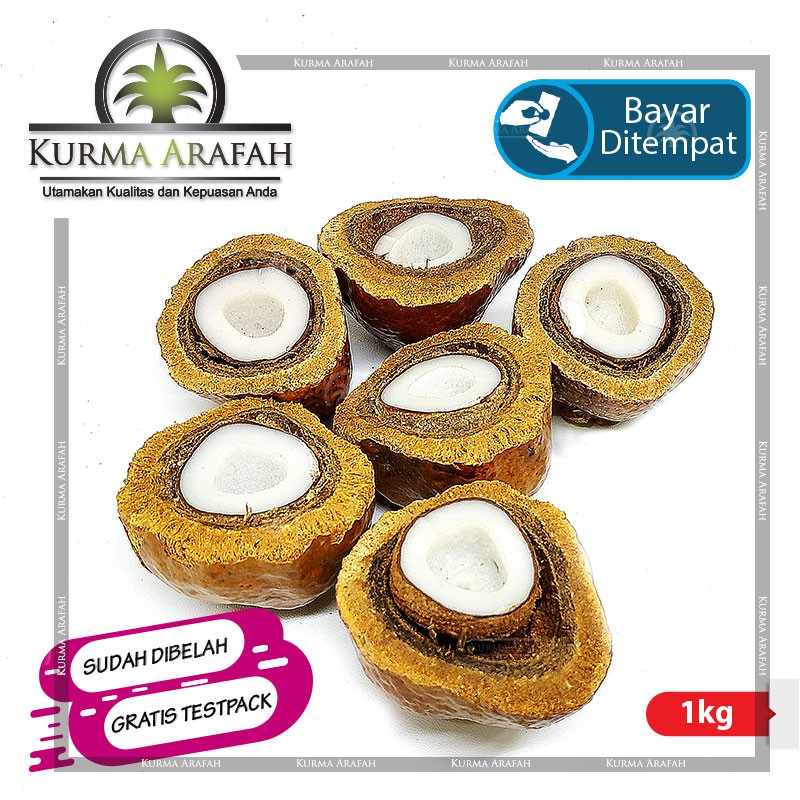 Buah Zuriat Belah, Doum, Yuriat, Buah Adam Hawa, Zuriat Nabi 1kg ORIGINAL ( Sudah Dibelah )