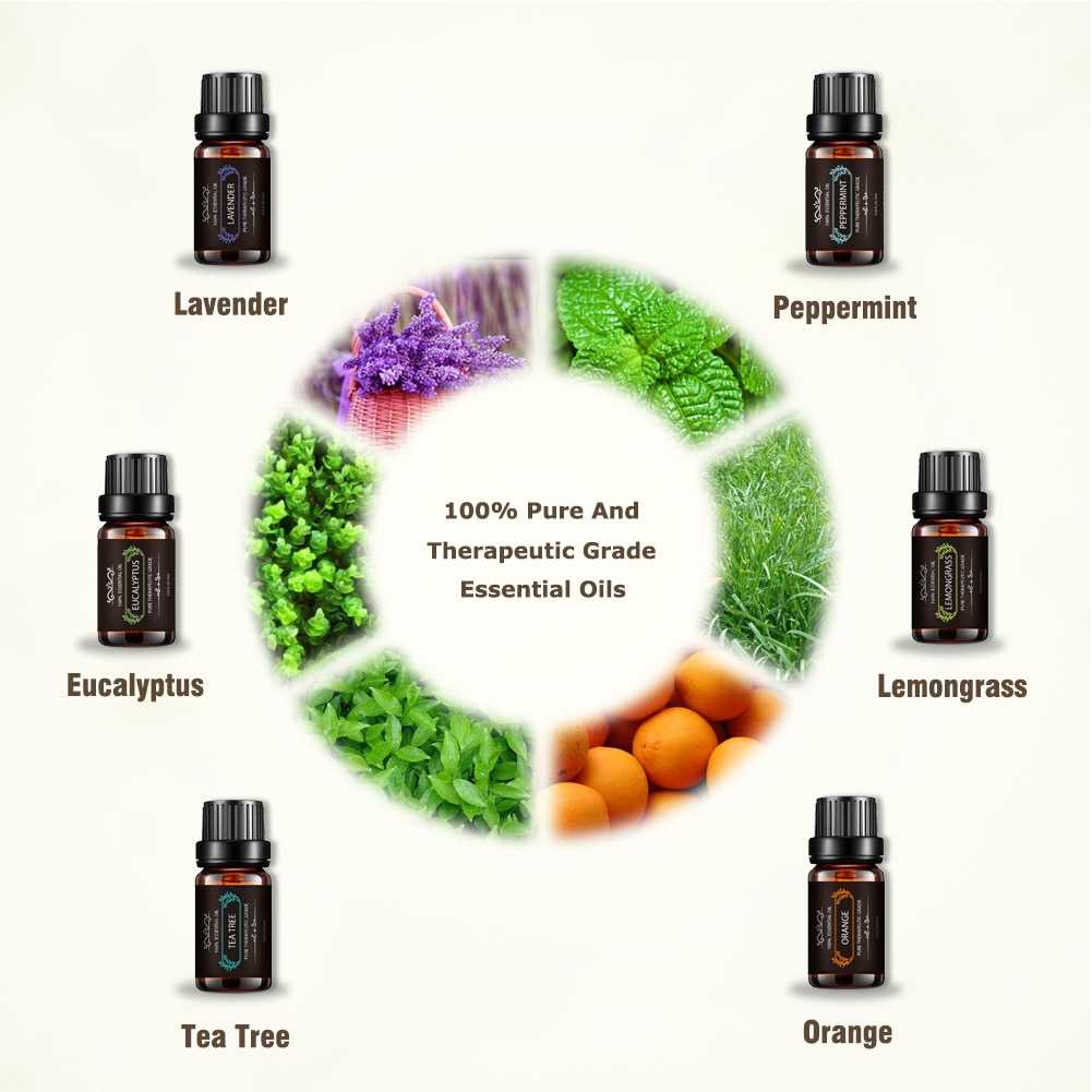 AS Pure Essential Fragrance Oils Minyak Aromatherapy 10ml 6PCS TSLM4