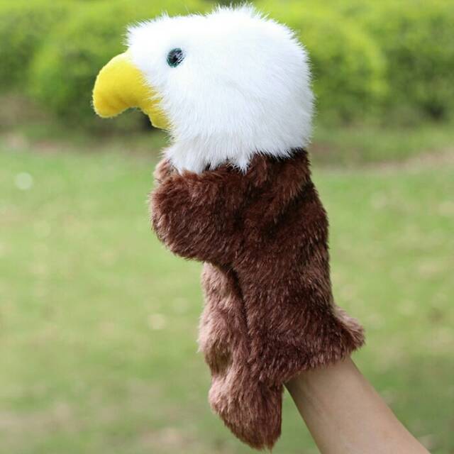 740+ Gambar Burung Elang Untuk Anak Tk HD Terbaik