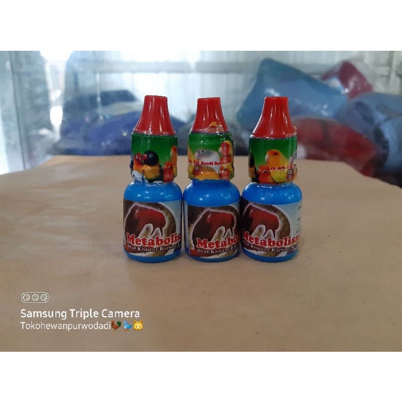 Metabolisme drh.edhi boedi Vitamin burung penggacor / Metabolisme burung / Metabolisme dr edi