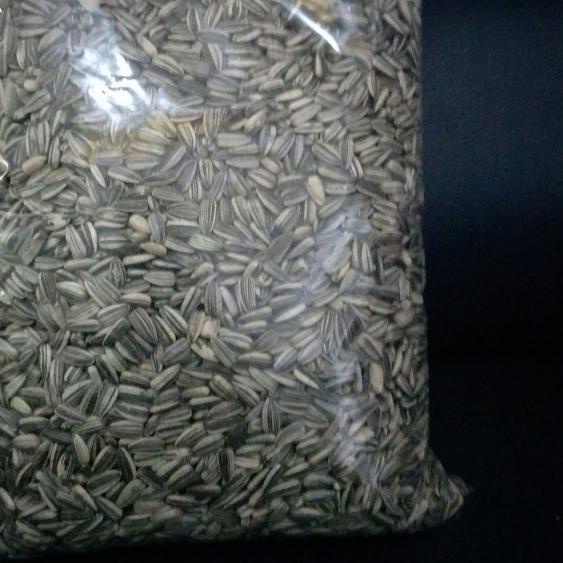 kuaci burung / kuaci pakan burung / kuaci 1kg ♣