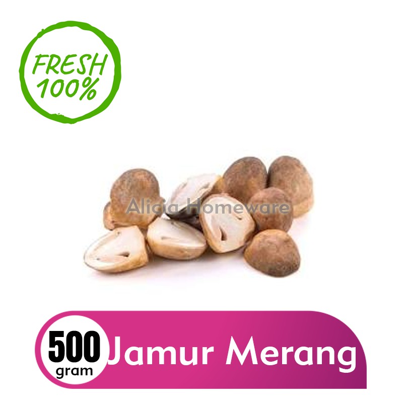 JAMUR MERANG