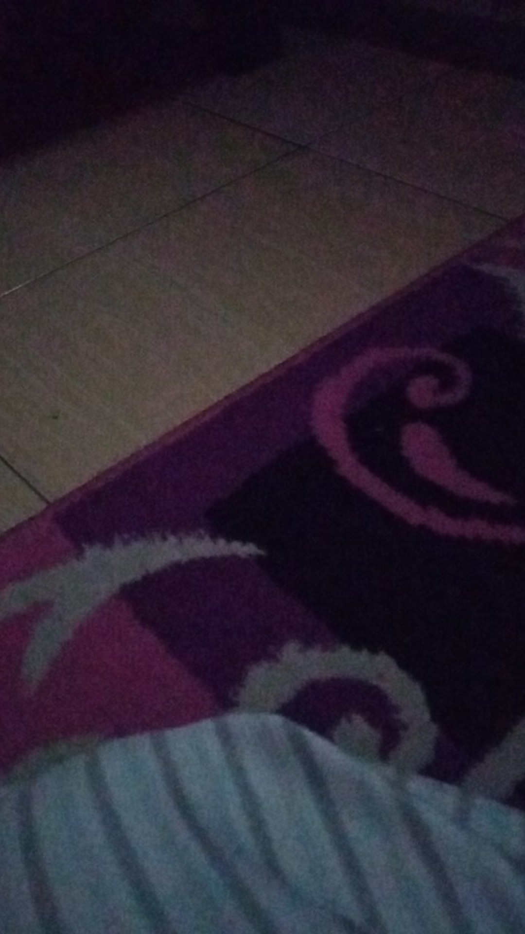 Kuas Cat Eterna 633 Ukuran Komplit