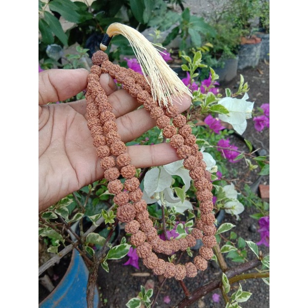 Tasbih Genitri Tasbih Biji Jenitri Asli Tasbih 99