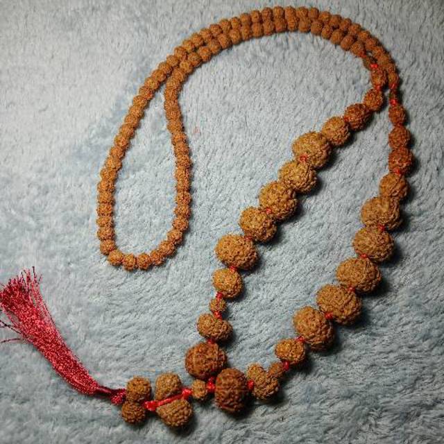Siddhamala rudraksha mukhi 1 sampai mukhi 14 kalung