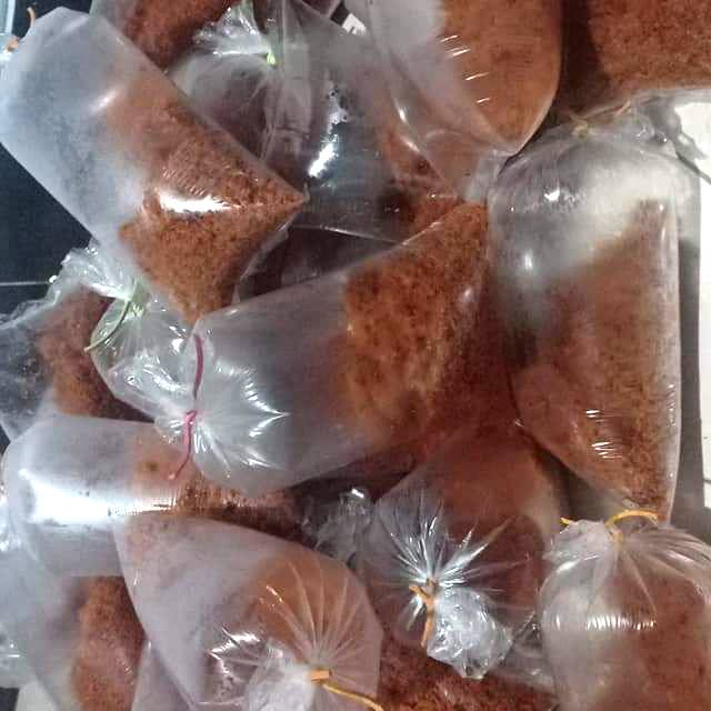 

SRUNDENG KELAPA MAMAK KU