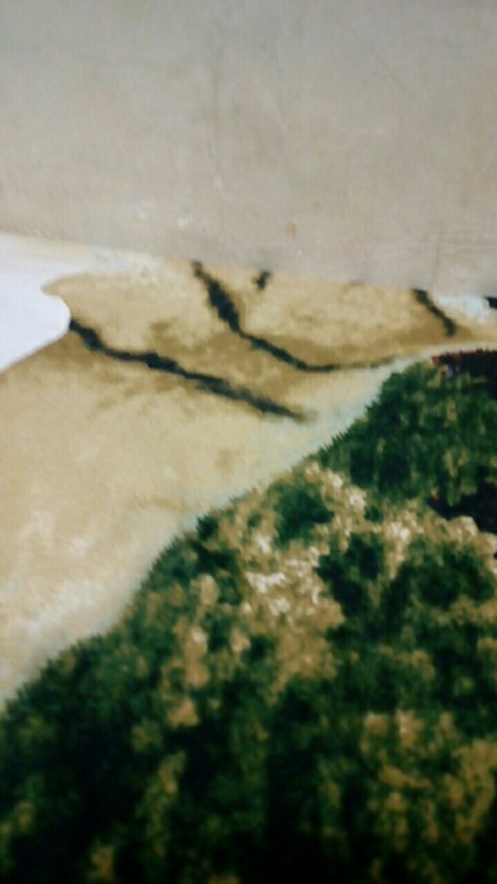 Paket 50 Pcs Plastik Pelindung Logam Mulia Antam Certicard Certieye Model Amplop