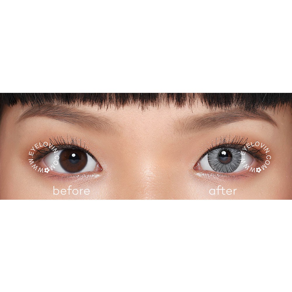 Softlens Avenue - FX Dark Grey